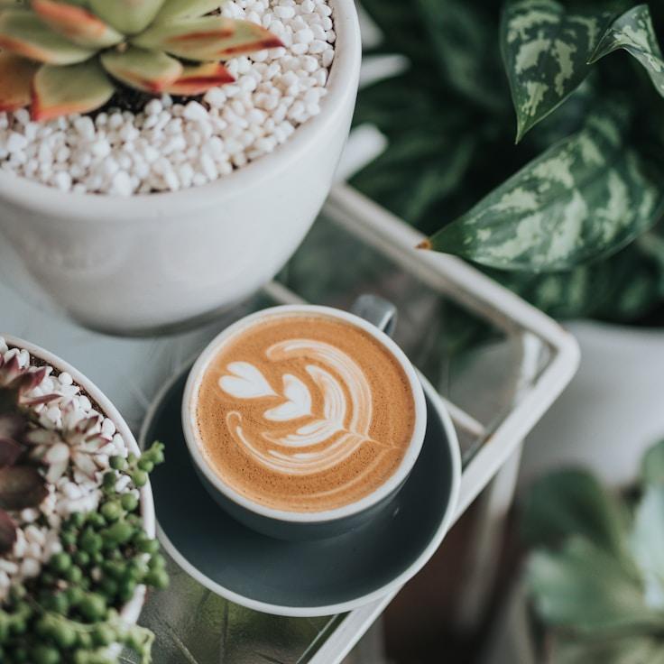 Morning Murmur: Cozy Café Arabica Blend